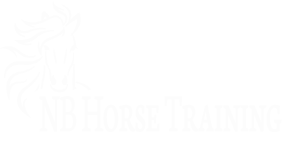 NB Horse Training